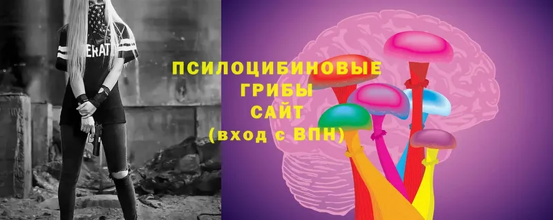 Псилоцибиновые грибы Psilocybe  цены наркотик  Валдай 